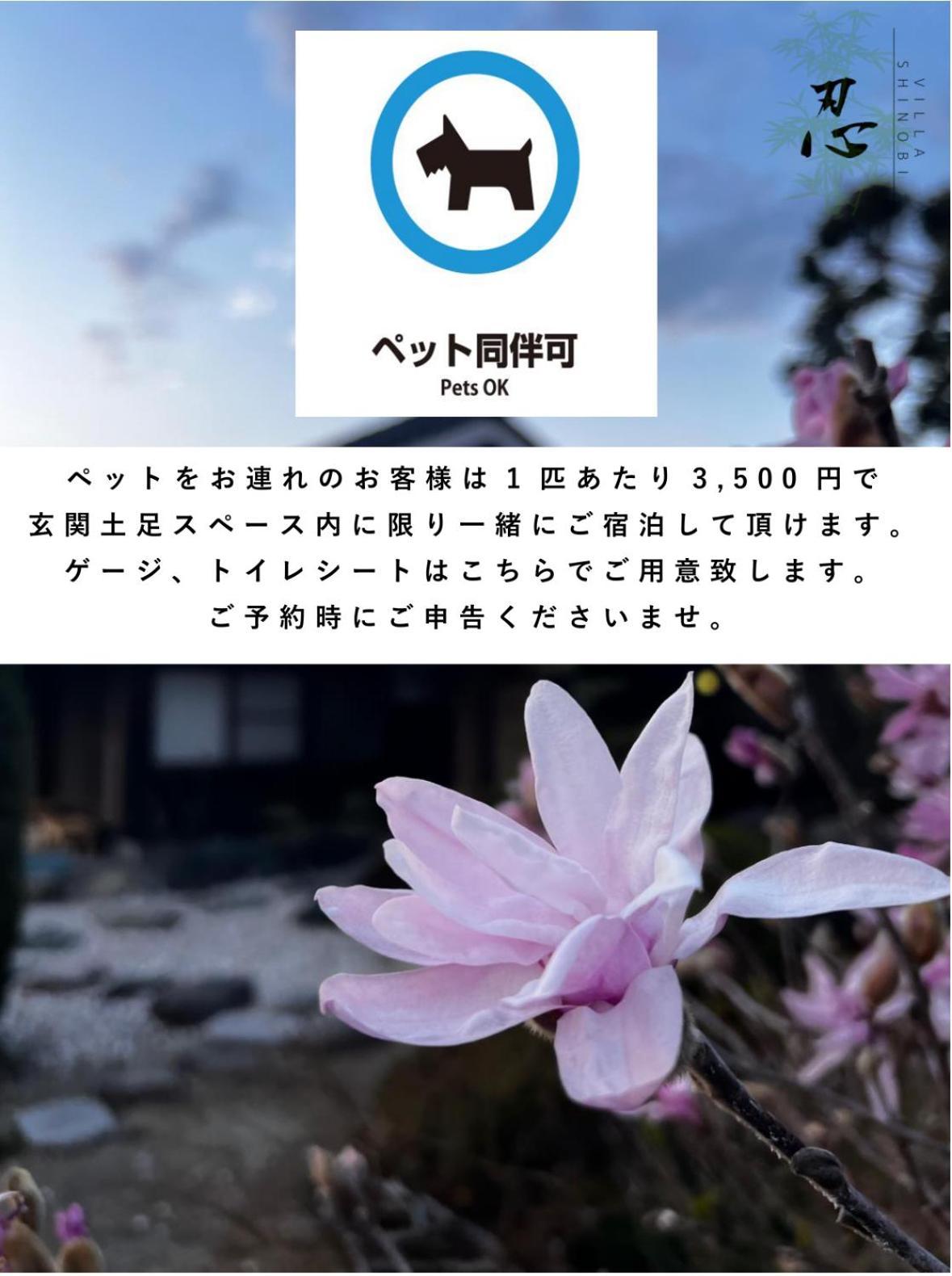 Villa Shinobi -忍- Hinase Exteriér fotografie
