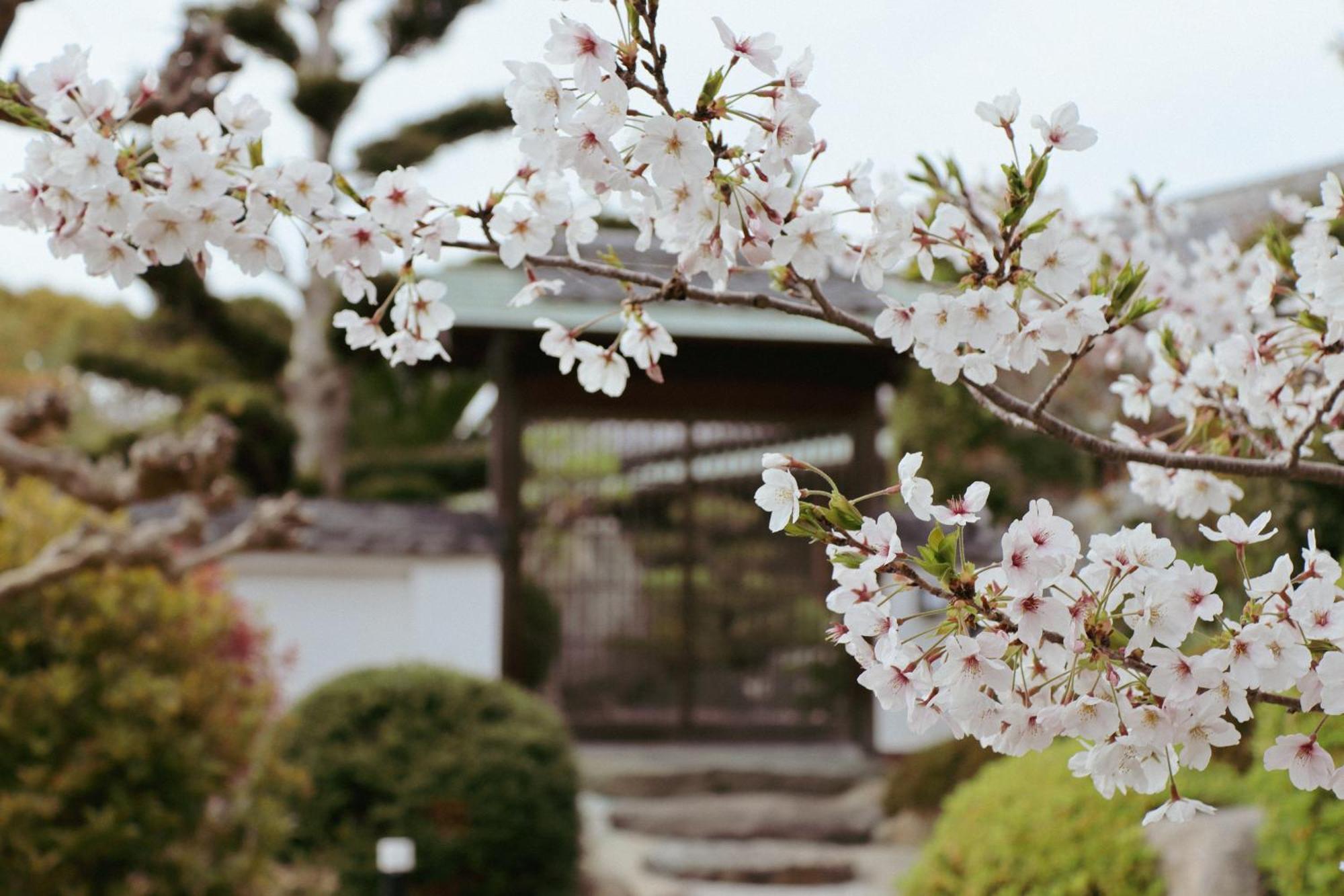 Villa Shinobi -忍- Hinase Exteriér fotografie